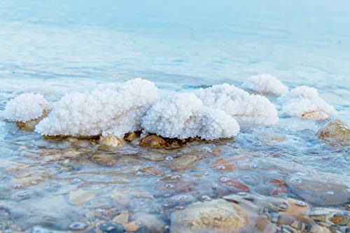 Ever Since - Blossom Dead Sea Mineral Salt Scrub - 250ml - Nourishing and Exfoliating by Ever Since