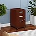 Bush Business Furniture Series C 3 Drawer Mobile File Cabinet in Mahogany, Assembled Office Storage Unit for Home or Commercial Spaces