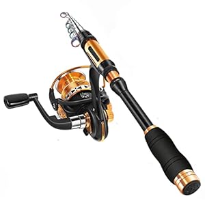 BNTTEAM Télescopique Ensemble de Canne à pêche Portable et Moulinet en Fibre de Carbone Pointe,Kits de Sac de Transport de Ligne de leurres de pêche