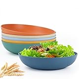 PYRMONT 65 OZ Salad Bowls Set of 6-10 inch Serving Bowl Large Bowl Wheat Straw Plates Bowls - Dishwasher Safe Plate - Wide and Shallow Bowls for Kitchen,Pasta,Noodles - Multi Color