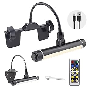 HONWELL Wiederaufladbare Bilderleuchte mit Schwenkarm