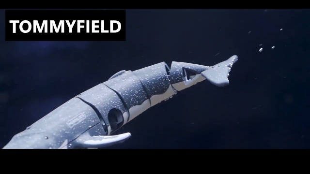 Amazon.co.jp: TOMMYFIELD 潜水艦 ラジコン クジラ おもちゃ