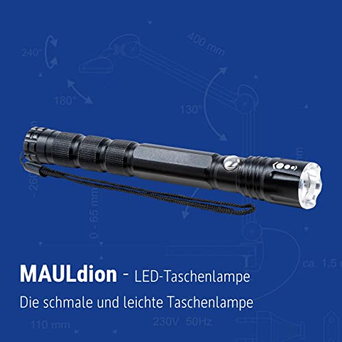 MAUL LED-Taschenlampe MAULdion – outdoor-taugliche und leichte LED Taschenlampe – helle Taschenlampe mit Handschlaufe, hoher Leuchtweite und Spritzwasserschutz (IPX4) – schwarz