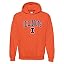 Illinois Fighting Illini Orange