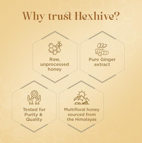 Image of Hexhive Ginger Honey Cubes | Pure Honey with Real Ginger Extract | No Added Sugar | Immunity Boost | Travel-Friendly Cubes for Tea, Coffee & Detox Drinks | Wellness Snack | 300g