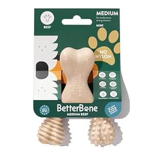 All-Natural, Nylon-Free Dog Chew Toys – Medium Density – Ideal for Moderate to Strong Chewers – Non-Toxic, Promotes Dental Health, Splinter-Resistant, Sustainably Made