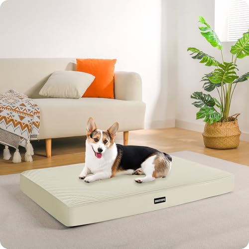 HMTOPE Orthopädisches Hundebett, 9cm Dicke Hundekissen für Mittelgroße Hunde, Abnehmbar und Waschbar Hundematte, rutschfeste Unterseite, Wasserdichtes Innenfutter, 91 cm, Beige