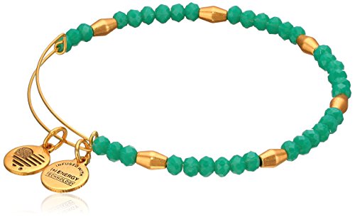 Alex and Ani Women's Nautical Bangle Marina/Gold One Size