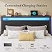 HISOFT Queen Bed Frame with Storage, Wood Headboard with Fast Charging Station, LED Lights, Platform Bed Frame Queen Size, Fabric Drawers with Wheels, No Box Spring Needed, Noise Free, Classic Black