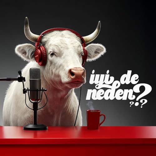 İyi de neden? #8 | Şu an bir stablecoin savaşı var... iyi de neden?