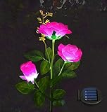 MMTX Luces LED Decorativas Rosas Solares, IP65 Luz Solar Al Aire Libre Del Jardín Para Exterior Solares, Jardín, Patio, Caminos(Rosa)