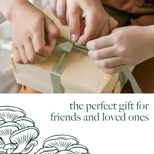 Carbeth Plants - Mushroom Growing Kit Grey Oyster - Grow Your Own Beginner Friendly Mushroom Educational Kit - Easy to Use Gardening Gift - Ready to Grow Tasty Produce for Cooking