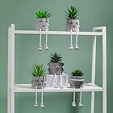 [Matériau durable] Construit à partir de PVC et de ciment de qualité, garantissant la longévité pour une utilisation intérieure et extérieure.