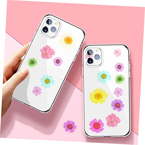 EXCEART 60 Pçs Kits De Resina Ornamento Artesanato Kits De Unhas Nail Art Flores Secas Flores Prensa