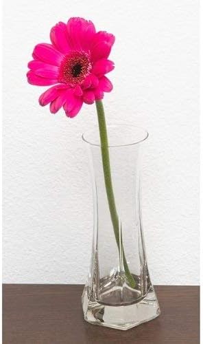 Bormioli Rocco Capitol Flower Bud Vase, Gift Boxed - Image 3