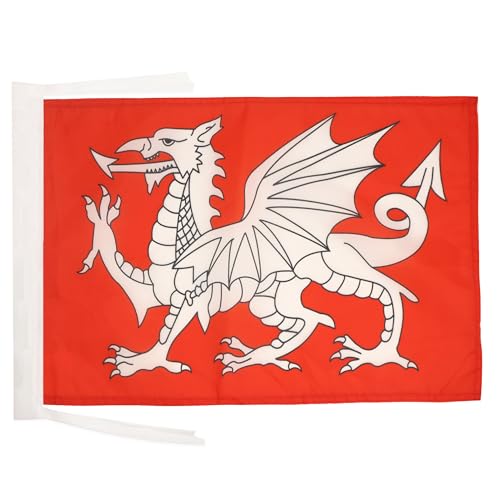 AZ FLAG Bandera del Dragon Blanco DE Inglaterra 45x30cm - BANDERINA Inglesa - San Jorge 30 x 45 cm cordeles
