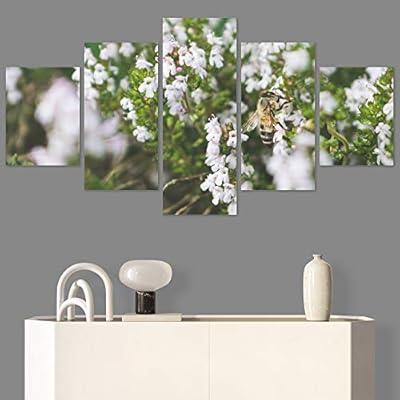 SIGNWIN 5 Panel Canvas Wall Art Bee Closeup...