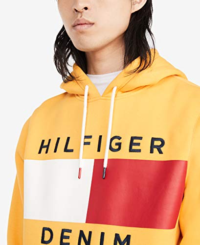 Image of Tommy Hilfiger Men's THD Hoodie Sweatshirt
