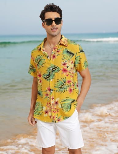 Taille S à 8XL | Manches Courtes | Chemises hawaïennes