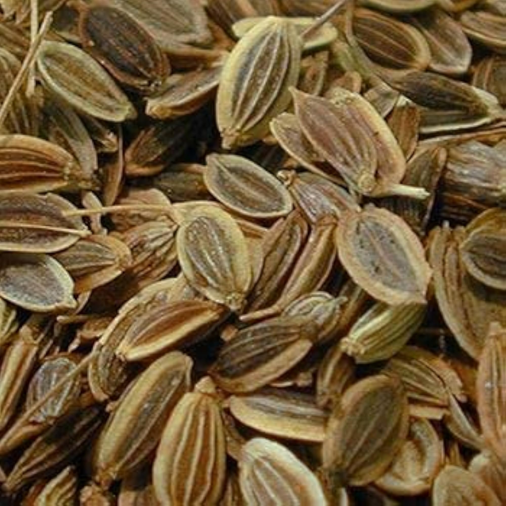 Saara HERBAL FRESH Sathakuppai Seeds Powder