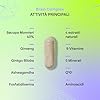 Nootropico Brain Complex - Memoria e Concentrazione - Bacopa Monnieri, Ginkgo Biloba, Colina, Ginseng, L-Tirosina + Vitamines - Brain Complex 60 Capsule Nutralie