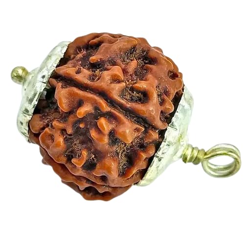 BluDiamond 5 Face Original Nepal Rudraksha Brown Panch Mukhi Rudraksha Bead पांच मुखी रुद्राक्ष 5 Mukhi Rudraksha Original Certified Round Five Mukhi Rudraksha Locket for Men-image-30