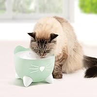 Catit PIXI Trinkbrunnen für Katzen | 3-Fach Filter | mintgrün, 2 L – Ansicht 3