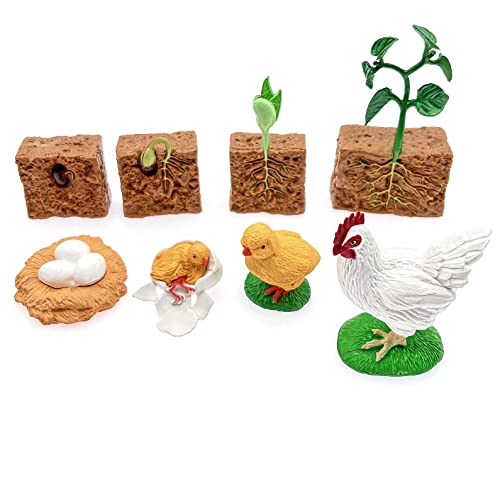 JZK 2 Set ciclo vita mette scena figure di un