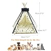 Pet Tent/Tipi for Cats & Dogs - Washable Canvas, Foldable Pet Teepee with Anti-Slip Base & Detachable Cushion | Indoor/Outdoor Safe Shelter for Pets Up to 66lbs-Beige-M