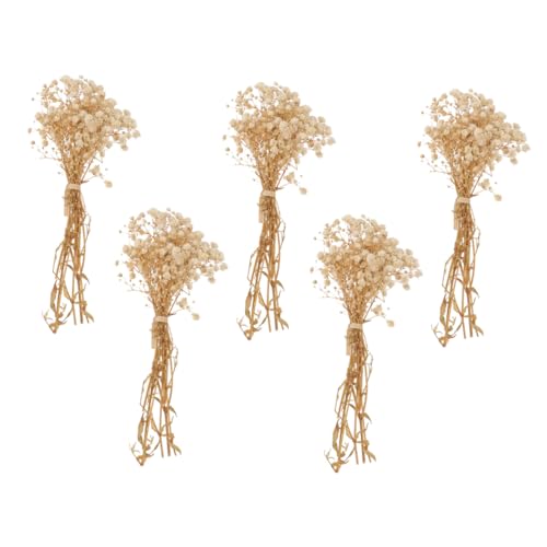 Ramillete decorativo con 5 paquetes de flores Gypsophila secas miniatura 1