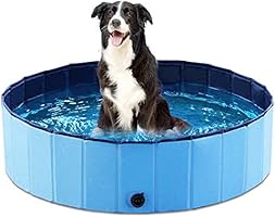 Jasonwell Foldable Dog Pet Bath Pool Collapsible Dog Pet Pool Bathing Tub Kiddie Pool for Dogs Cats and Kids