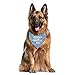 Little Brother Dog Bandana, Pet Dog Gender Revealing Triangle Scarf, Dog Bandana for Small Medium Large Dog, Light Blue Dog Bandana, Gift for Dog Lover, Funny Cute Dog Bandana (A63)