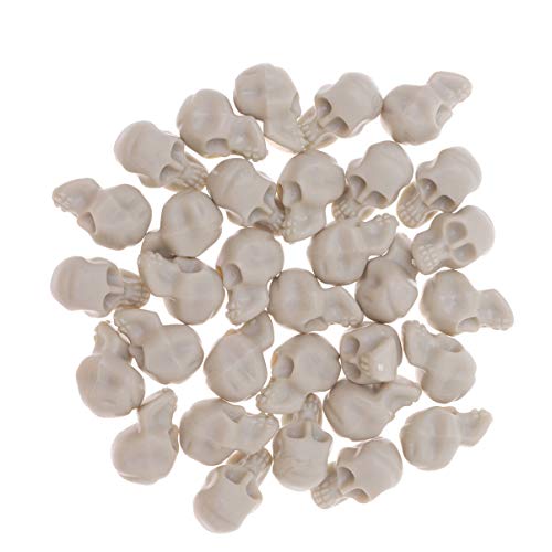 Best Miniature Skulls Where to Buy?