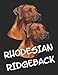 Rhodesian Ridgeback: Notizbuch A4 Kariert Lustig Geschenk mit Rhodesian Ridgeback Hunderasse Hundeliebhaber Hund