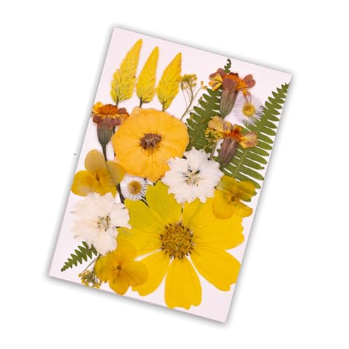 Pack de 1 Set de Flores Secas Prensadas Hechas a Mano miniatura 1