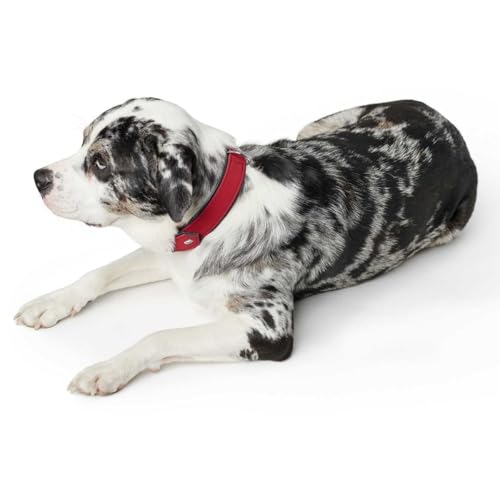 HUNTER SOFTIE Hundehalsband, Kunstleder, samtig, pflegeleicht, 55 (M-L), rot