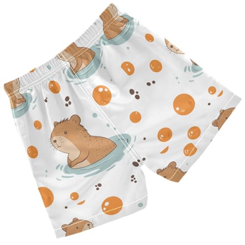 Pigsaly Boys' Swim Board Shorts Capybara Animals Oranges Boy's Swim Trunks Kids Swimwear 3T2