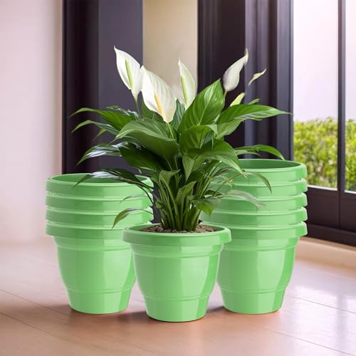 Image of Kuber Industries (Pack of 10) Flower Pot | 2-Layer Fuldani Flower Pot (6 Inch) Pots for Terrace, Garden | Phooldaan for Home D?cor | Synergy Indoor Plant Stand | Pots Stand for Plants | Green