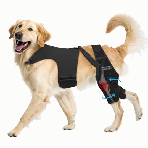 Image of Dog Knee Brace for Torn ACL Hind Leg, Dog Leg Brace Helps Reduce Pain from Torn CCL, Luxating Patella, Ligament Injuries, Hip Dysplasia, XL