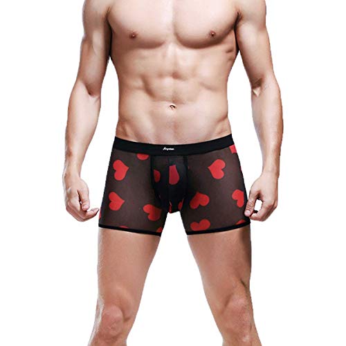 Men's Sexy Mesh Boxer Briefs Hot Lip Transparent Lingerie Red Heart Print Mesh Transparent Bulge Pouch Underpants(43Black2pcs,M)