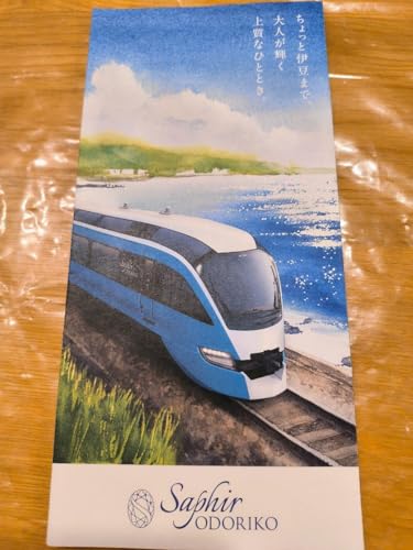 サフィール踊り子 パンフレット JR東日本 伊豆観光のサムネイル