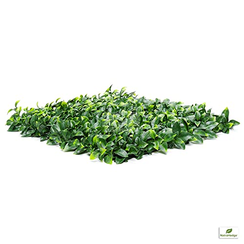 NatraHedge Artificial Ligustrum Ficus Hedge Mat 20