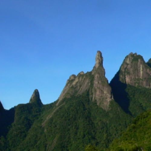 195 Garrafao, Brazil - Search for Kinglet Calyptera