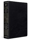 ESV Archaeology Study...image