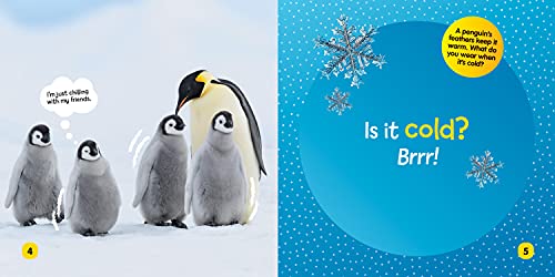 National Geographic Kids Little Kids First Board Book: Weather