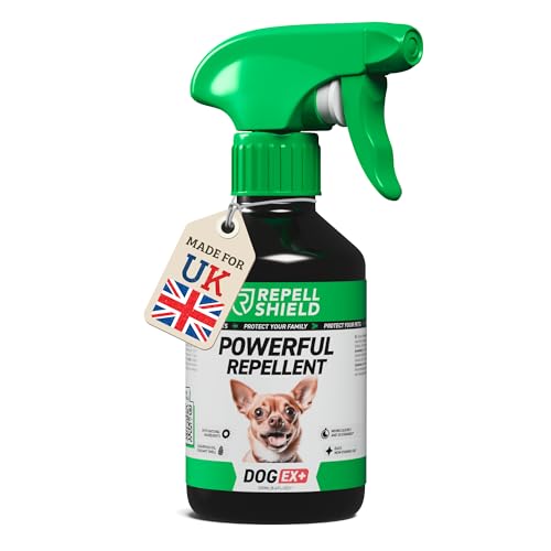 RepellShield Anti Chew Spray for Dogs & Puppies - 250ml - Bitter Apple Dog Repellent Spray, Natural No-Chew Training Aid - Stop Chewing on Furniture, Carpets, Doors, Cables, Garden & Outdoor Surfaces
