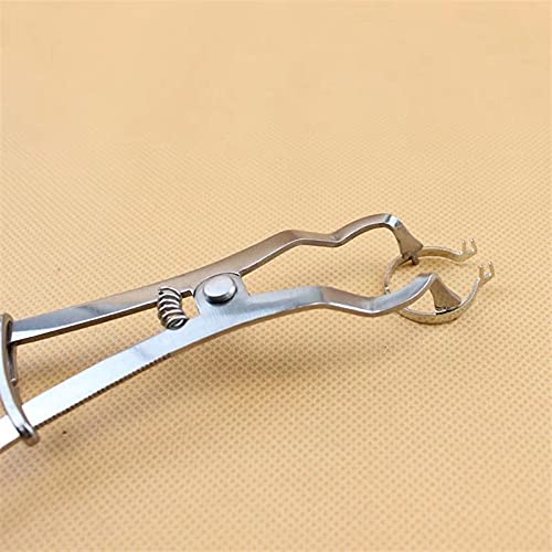 Forceps Matrix Band Forming Clip Matrices Pliers Sectional Contoured Stainless Steel Orthodontic Instrument Plier #TOP1