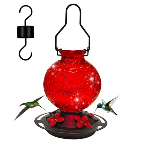 Glass Hummingbirds Feeder for Outdoors Hanging,23 OZ Humming Birds Feeder for Outside,Hummingbird Gifts(Red Bird)