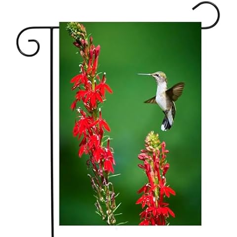 ShineSnow Spring Bird Cute Hummingbird Feeding on Cardinal Flower Red Flowers Summer Garden Yard Flag 12"x 18" Double Sided Polyester Welcome House Flag Banners for Patio Lawn Outdoor Home Decor Cover