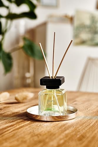 ipuro - Essentials Raumduft LIME LIGHT 50ml | Raumerfrischer mit Zitronengras, Bergamotte, Orange, Geranie, Maiglöckchen & Vanilleblumen Duft Aroma | Diffuser mit Stäbchen | Lufterfrischer für Wohnung